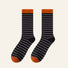 Chromatic Stripe Socks
