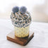 Flat lay of Pompom Cupcake Socks in grey, easy to pack for travel and errands.