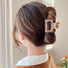 Color Square Hair Claw
