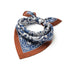 Paisley Muse Scarf