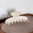 Flat lay of Shell Hair Claw hair claw clip in white, great for everyday styling and gifting.