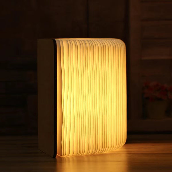 Livre Lampe